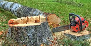 Midwest City, OK Tree Services Company