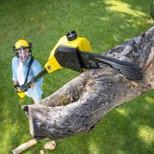 Best Lawn Maintenance Plans  in Midwest City, OK