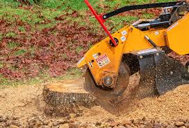 Best Tree Health Inspection  in Midwest City, OK