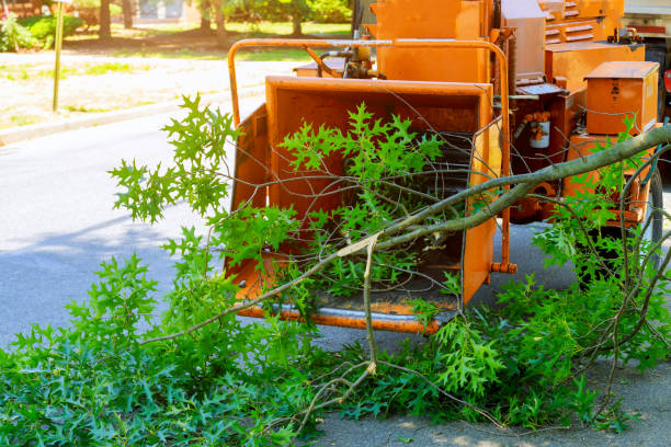 Best Weed Control  in Midwest City, OK