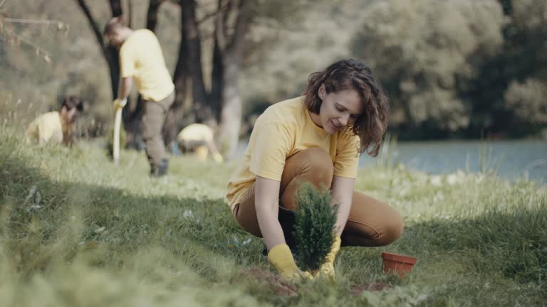 Best Lawn Disease Treatment  in Midwest City, OK