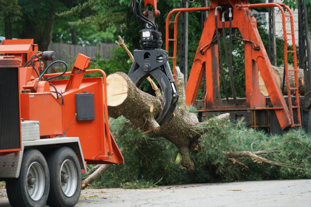 Best Lawn Irrigation Installation and Maintenance  in Midwest City, OK